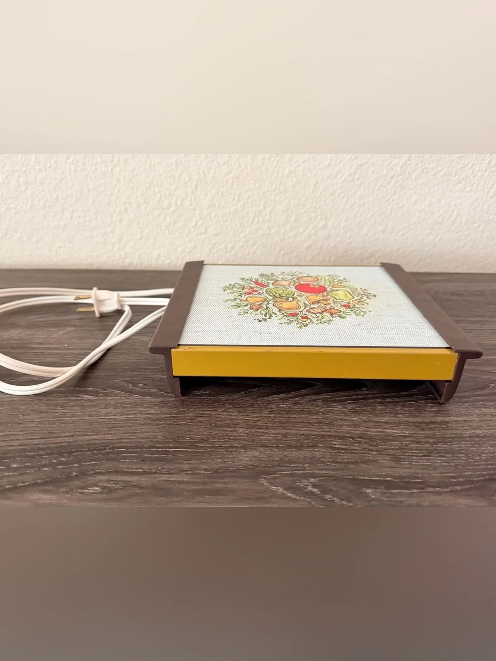 VTG Spice of Life Electric Food Warmer Warm-O-Tray